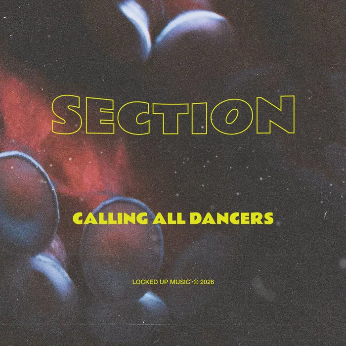 Calling All Dancers cover art